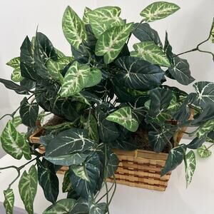 Artificial Greanery Plant Big Leaves in Wicker Basket with Handles